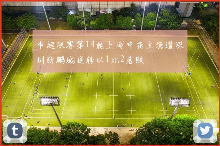 中超联赛第14轮上海申花主场遭深圳新鹏城逆转以1比2落败